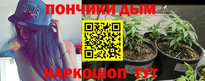 ГАЛЛЮЦИНОГЕННЫЕ ГРИБЫ Берёзовский