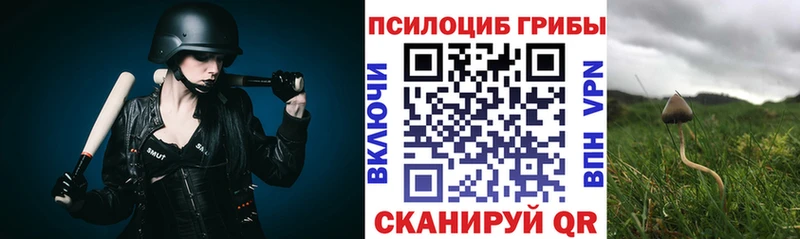продажа наркотиков  Семилуки  Псилоцибиновые грибы прущие грибы 