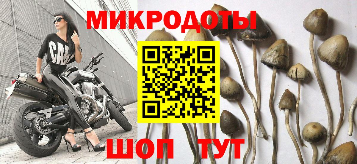Псилоцибиновые грибы прущие грибы Семилуки